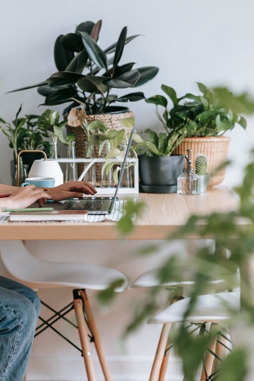 Simple Tips for Creating a Cozy and Productive Home Office Environment